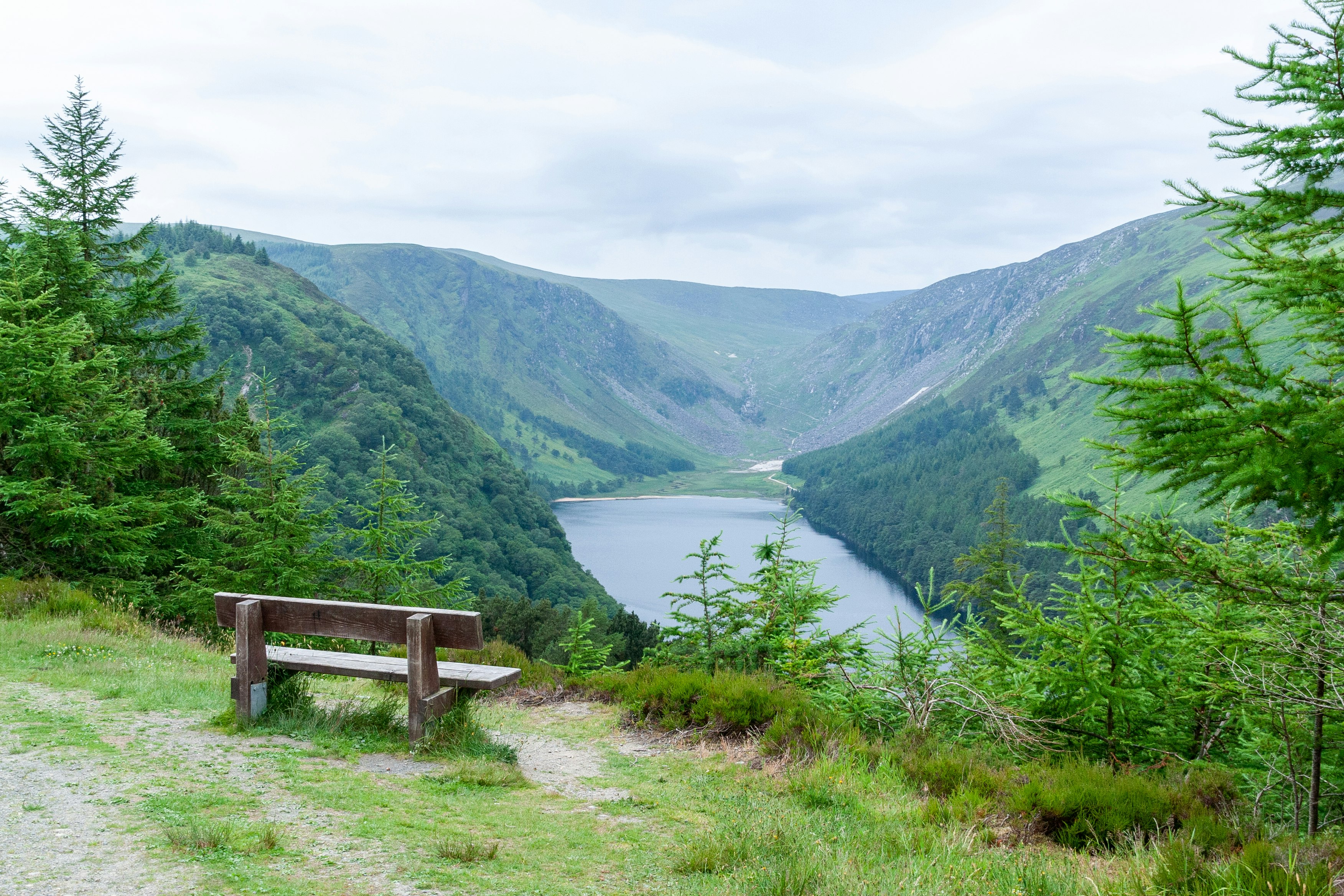 brown wooden bench near lake during daytime